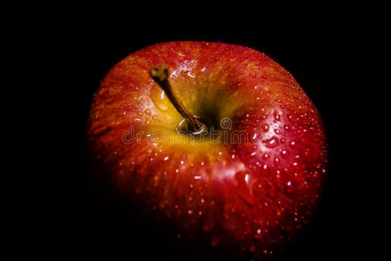 nytt äpple arkivfoton nytt äpple arkivfoton