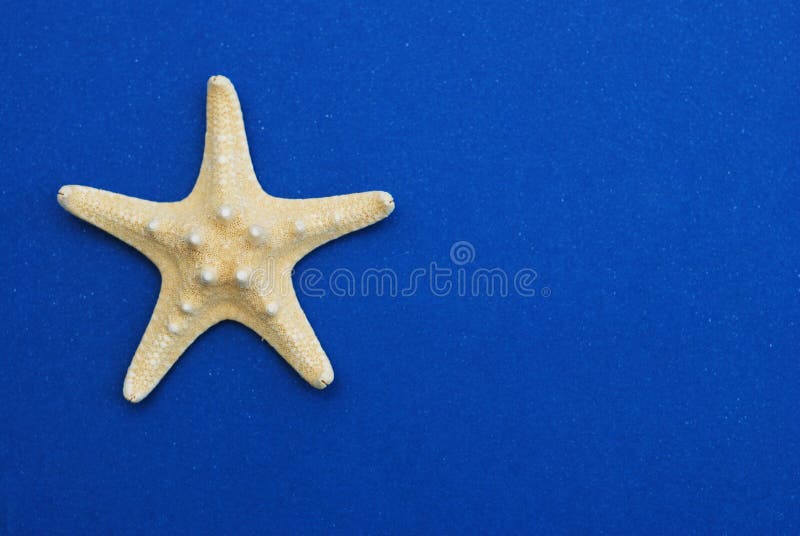 Náutico, concepto de Marrine Estrellas de mar contra un fondo azul con el espacio de la copia Verano Holliday.
