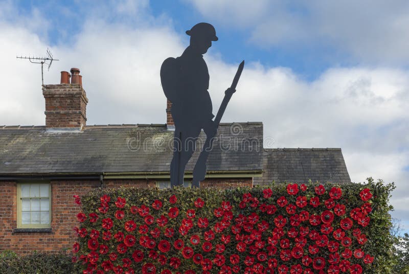 Northwich, Cheshire, UK - November 10th 2023 - Close up of a hedge covered in poppies and a silhouette of a soilder. Northwich, Cheshire, UK - November 10th 2023 - Close up of a hedge covered in poppies and a silhouette of a soilder