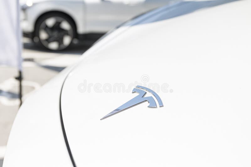CA, Los Angeles - May 4, 2024 - Close up of white Tesla logo on electric vehicle car. CA, Los Angeles - May 4, 2024 - Close up of white Tesla logo on electric vehicle car