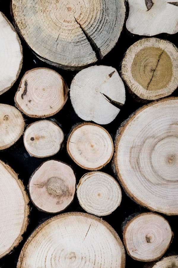 Close up view of cut wooden log. Unique circles from old trees. Creative modern interior design idea for home wall decor. Abstract closeup wood background texture in detail with rings and cracks. Close up view of cut wooden log. Unique circles from old trees. Creative modern interior design idea for home wall decor. Abstract closeup wood background texture in detail with rings and cracks