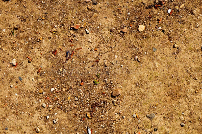 Close-up of the ground, with cracks, small stones, fruit peels and dirt. Close-up of the ground, with cracks, small stones, fruit peels and dirt