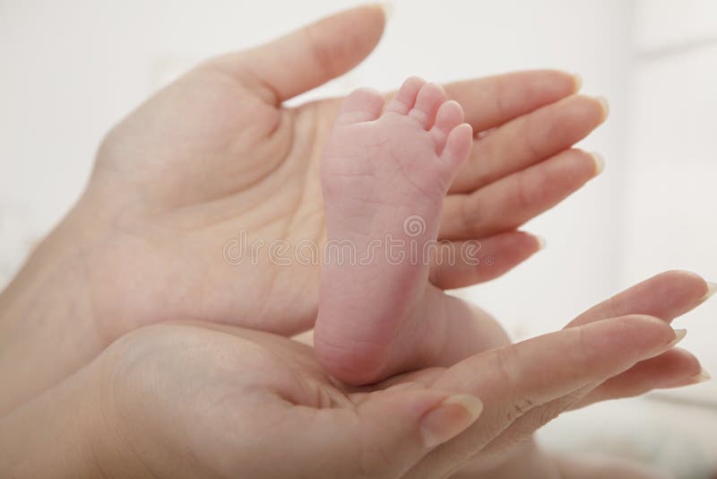 Närbild av modern som rymmer hennes babys fot arkivfoton Närbild av modern som rymmer hennes babys fot arkivfoton