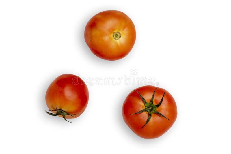 Närbild av nya tomater på en vit bakgrund bakgrund isolerad white f?r fotostudiotomat Mogna tomater royaltyfria foton Närbild av nya tomater på en vit bakgrund bakgrund isolerad white f?r fotostudiotomat Mogna tomater royaltyfria foton