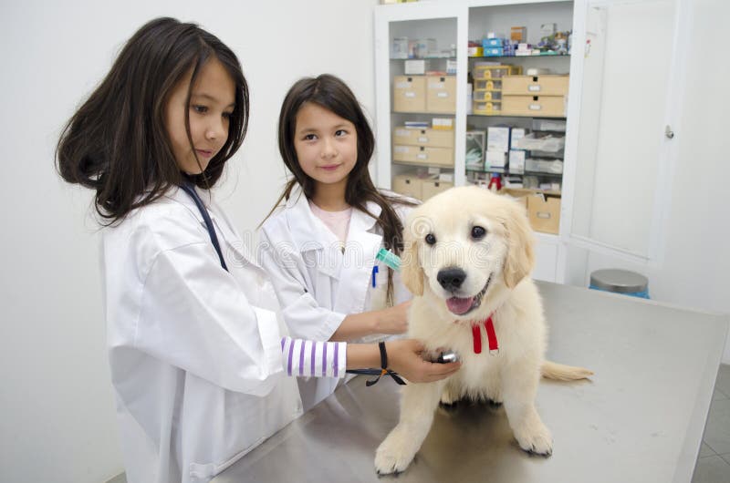Nätta flickor som låtsar för att vara veterinärer royaltyfri bild Nätta flickor som låtsar för att vara veterinärer royaltyfri bild