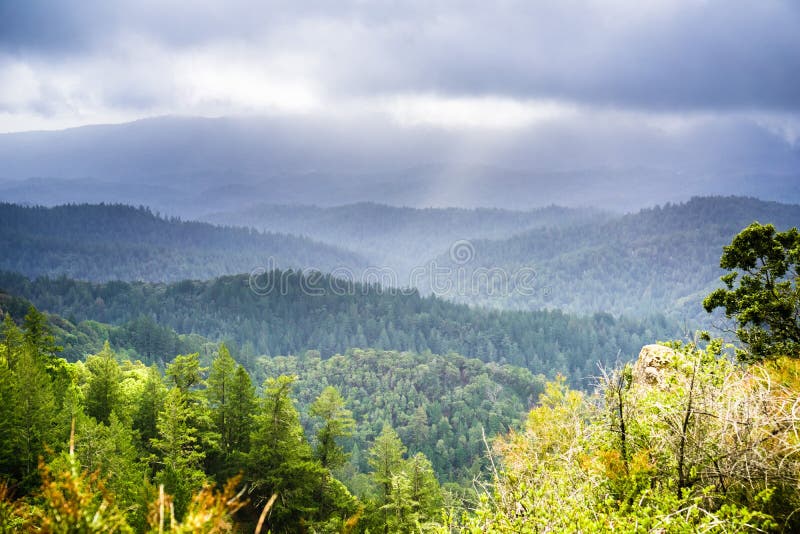 Névoa e nuvens de tempestade que cobrem os montes verdes e os vales de montanhas de Santa Cruz imagens de stock Névoa e nuvens de tempestade que cobrem os montes verdes e os vales de montanhas de Santa Cruz imagens de stock