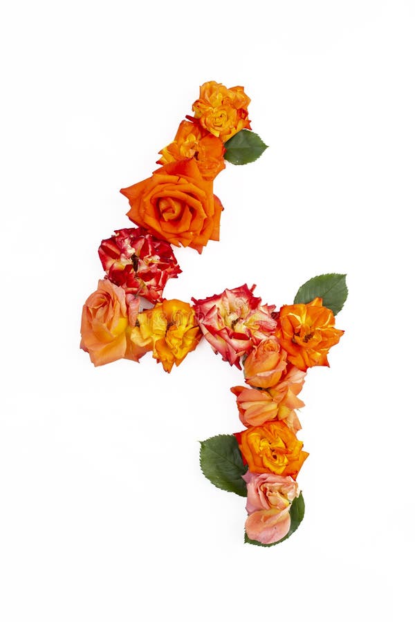 Number four made with real red orange roses, isolated on white background. Number four made with real red orange roses, isolated on white background.