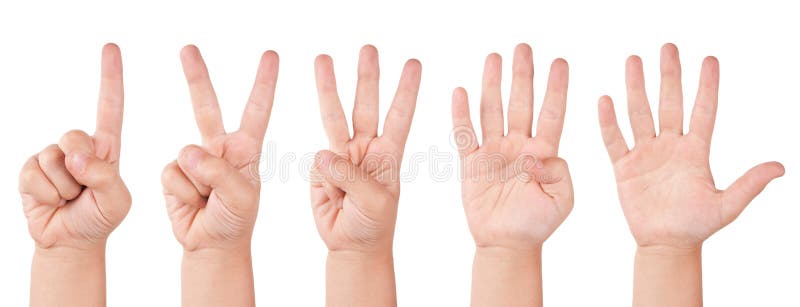 Números del dedo del niño
