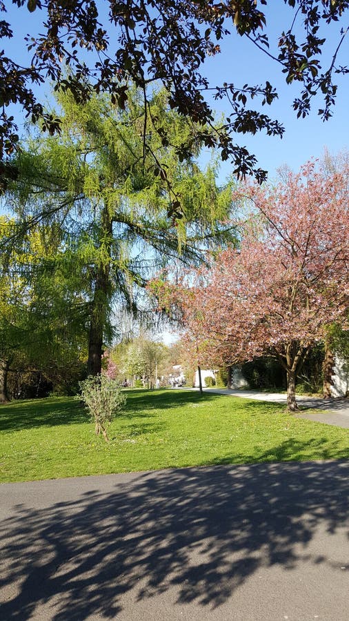 Nürnberger City park royalty free stock photo Nürnberger City park royalty free stock photo