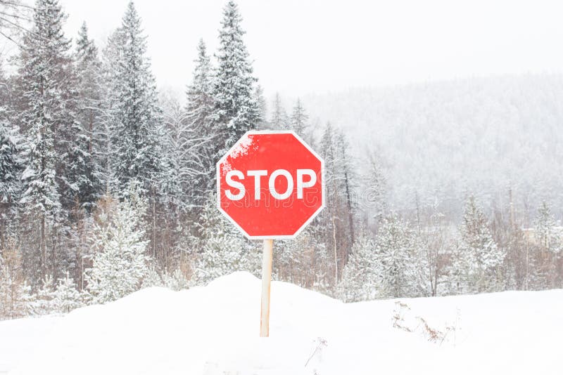 Закрой снежок. Знак стоп зима. Stop на дороге. Дорожный знак stop зимой фото. Дорога закрыта стоп.