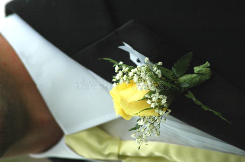 Yellow boutonniere against black suit and yellow tie. Yellow boutonniere against black suit and yellow tie