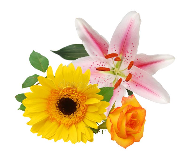 O arranjo lilly floral imagem de stock royalty free O arranjo lilly floral imagem de stock royalty free