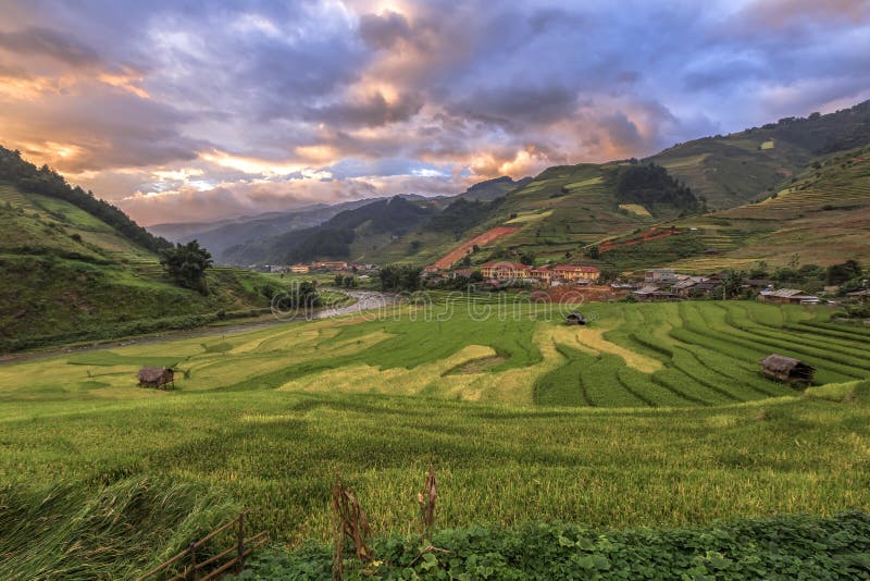 O arroz coloca em terraced no por do sol, MU Cang Chai, YenBai, Vietname imagens de stock royalty free O arroz coloca em terraced no por do sol, MU Cang Chai, YenBai, Vietname imagens de stock royalty free