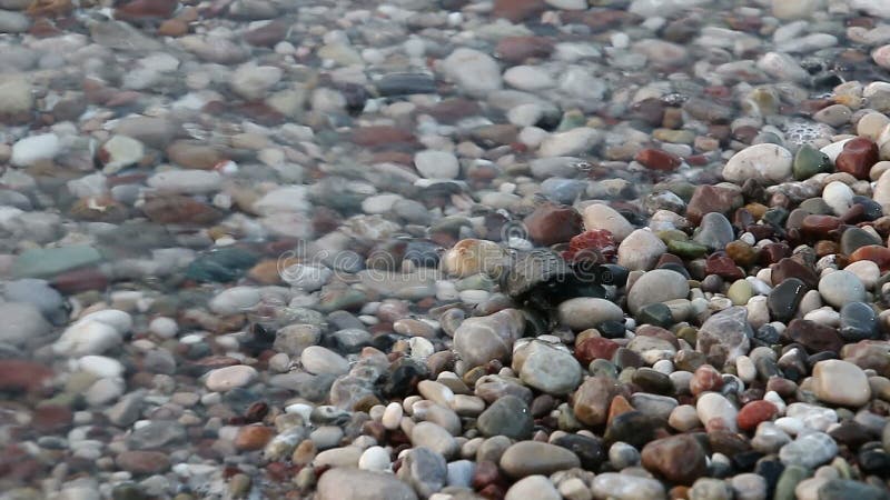 O bebê da tartaruga rasteja ao mar Cirali, Turquia