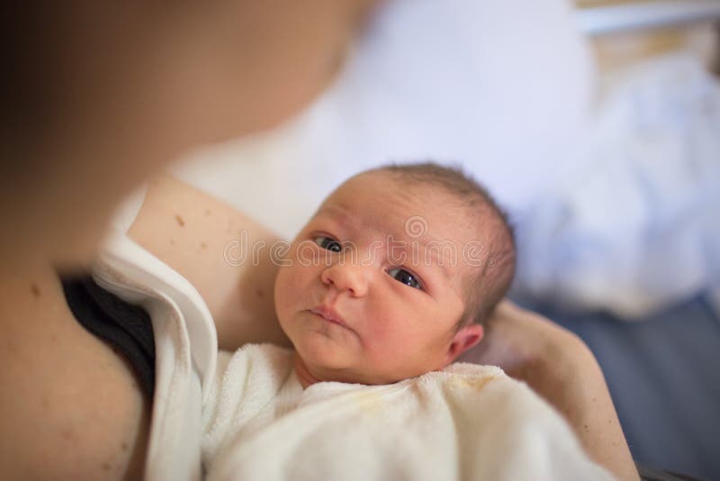O bebê recém-nascido realizou nos braços da mãe no hospital de maternidade imagens de stock O bebê recém-nascido realizou nos braços da mãe no hospital de maternidade imagens de stock