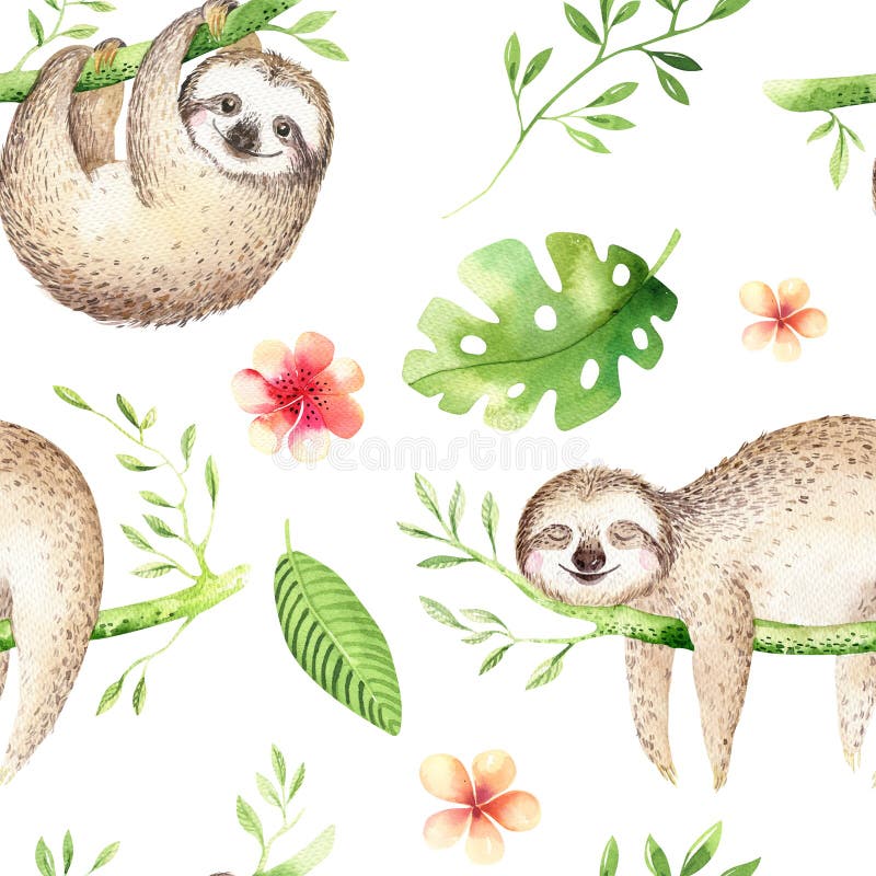 O berçário da preguiça dos animais do bebê isolou a pintura sem emenda do teste padrão Desenho tropical do boho da aquarela, dese ilustração stock O berçário da preguiça dos animais do bebê isolou a pintura sem emenda do teste padrão Desenho tropical do boho da aquarela, dese ilustração stock