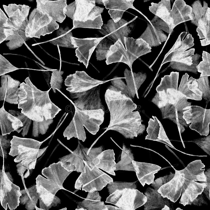O biloba floral da nogueira-do-Japão da aquarela deixa a cópia sem emenda da tela do teste padrão Planta de jardim conhecida como ilustração do vetor O biloba floral da nogueira-do-Japão da aquarela deixa a cópia sem emenda da tela do teste padrão Planta de jardim conhecida como ilustração do vetor