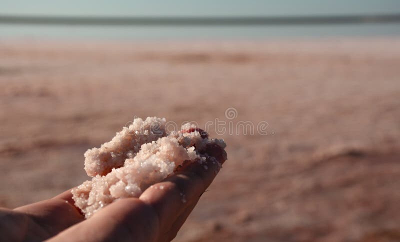 O bucată de sare în mâna ta. sare roz naturală dintr-o carieră de sare. extracția sării marine. extracția prin evaporare a mineral stock images