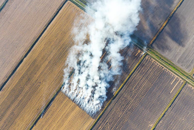 O burning da palha do arroz nos campos Fume do burning da palha do arroz nas verifica??es Fogo no imagem de stock O burning da palha do arroz nos campos Fume do burning da palha do arroz nas verifica??es Fogo no imagem de stock