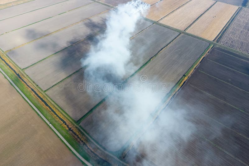 O burning da palha do arroz nos campos Fume do burning da palha do arroz nas verifica??es Fogo sobre fotografia de stock royalty free O burning da palha do arroz nos campos Fume do burning da palha do arroz nas verifica??es Fogo sobre fotografia de stock royalty free