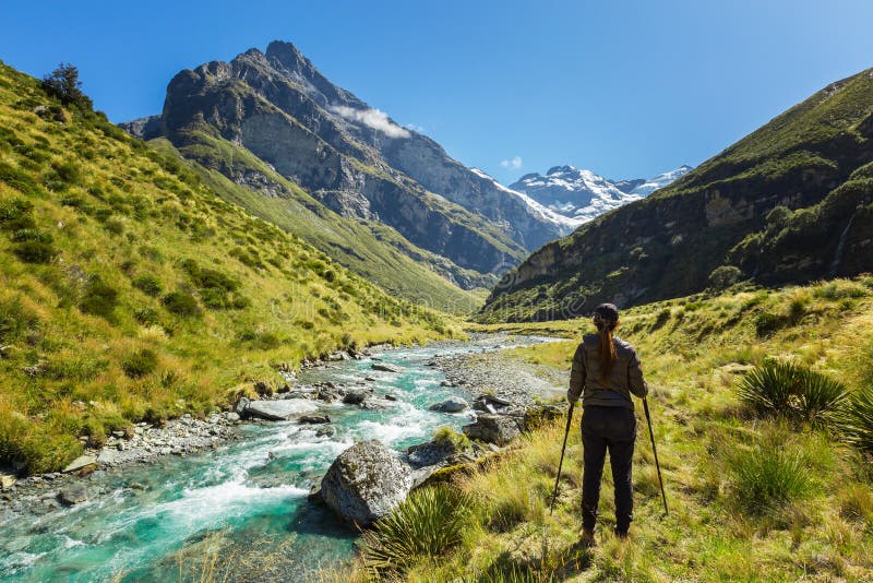 O caminhante da mulher aprecia a vista da trilha da queimadura de Earnslaw em Glenorchy imagem de stock O caminhante da mulher aprecia a vista da trilha da queimadura de Earnslaw em Glenorchy imagem de stock
