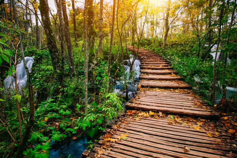 O caminho bonito da ponte de madeira na floresta profunda sobre uma turquesa coloriu a angra da água em Plitvice, Croácia, UNESCO imagens de stock royalty free O caminho bonito da ponte de madeira na floresta profunda sobre uma turquesa coloriu a angra da água em Plitvice, Croácia, UNESCO imagens de stock royalty free