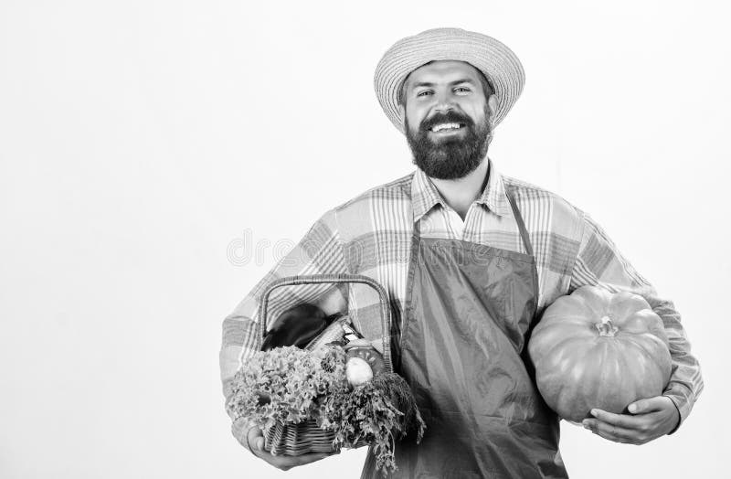 O cara da fazenda carrega abóbora grande Alimentos cultivados localmente farm local Atividade profissional no estilo de vida dos imagens de stock O cara da fazenda carrega abóbora grande Alimentos cultivados localmente farm local Atividade profissional no estilo de vida dos imagens de stock