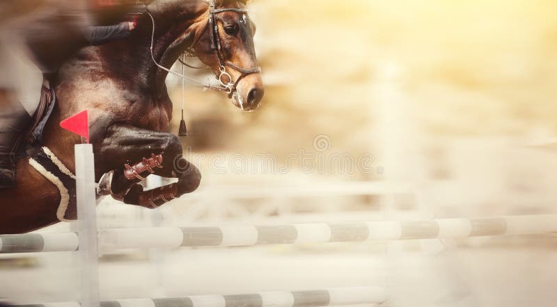 Os Cascos De Pá De Um Cavalo Sobre Um Obstáculo. O Cavalo Supera