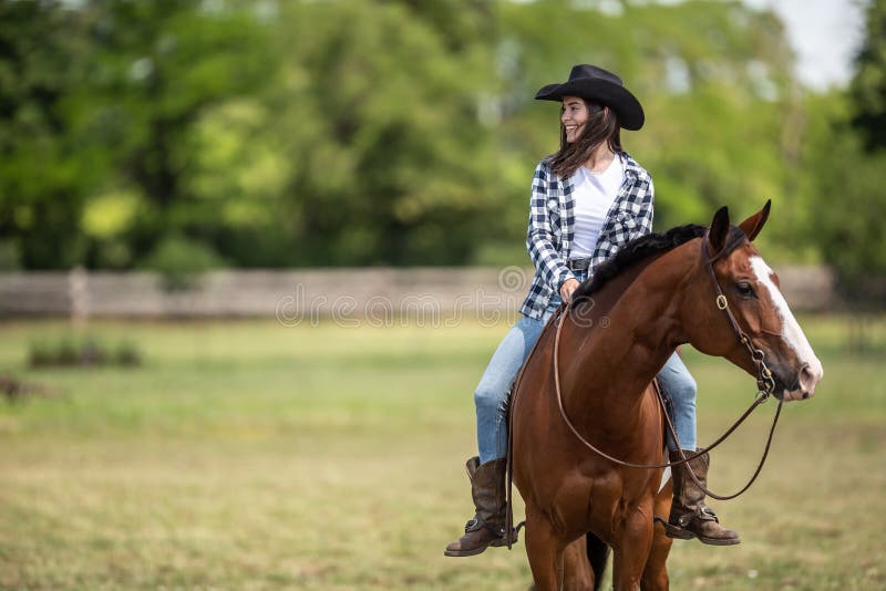 Fotos de Cavalo pulando, Imagens de Cavalo pulando sem royalties