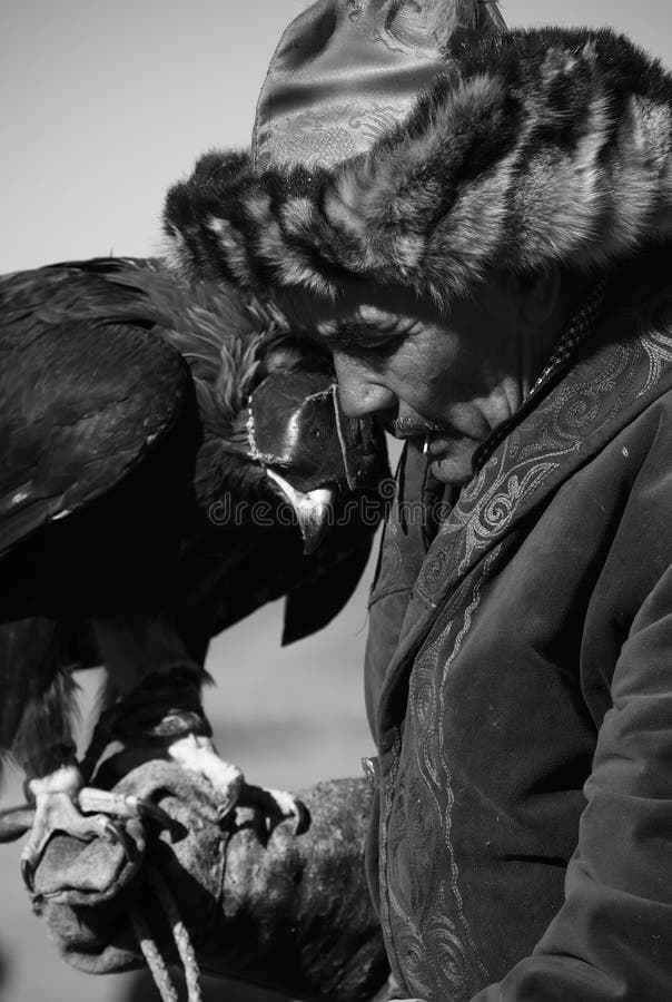 O caçador desconhecido mostra seu Eagle dourado que é treinado para a falcoaria foto de stock royalty free O caçador desconhecido mostra seu Eagle dourado que é treinado para a falcoaria foto de stock royalty free