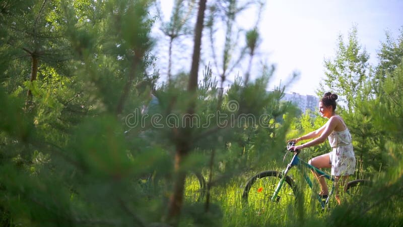 O ciclismo novo dos pares através do abeto vermelho ramifica na floresta do verão