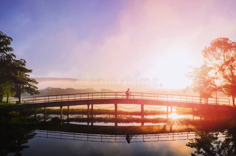 O ciclista da silhueta vai ao longo do esporte no fundo da natureza motociclista no nascer do sol imagens de stock O ciclista da silhueta vai ao longo do esporte no fundo da natureza motociclista no nascer do sol imagens de stock