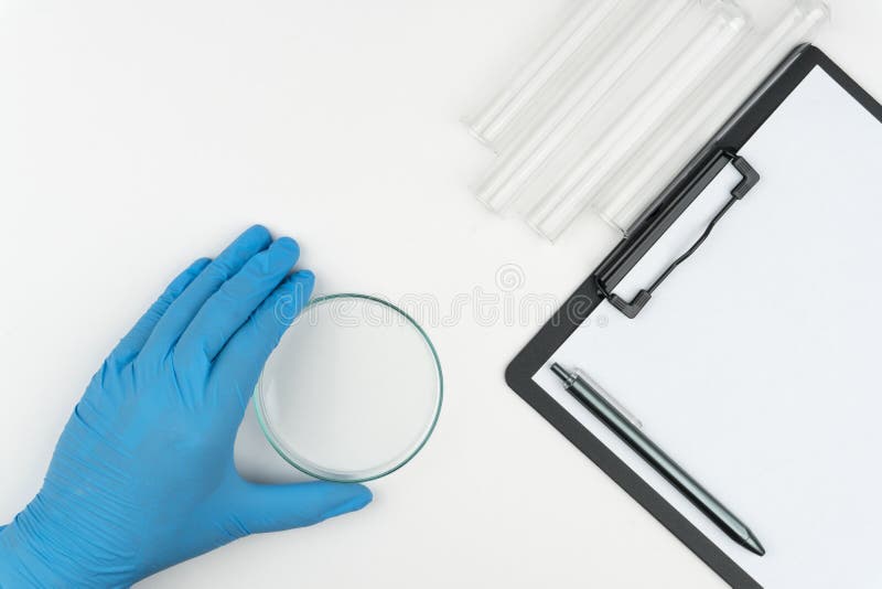 O cientista que guarda um vidro de relógio foto de stock O cientista que guarda um vidro de relógio foto de stock