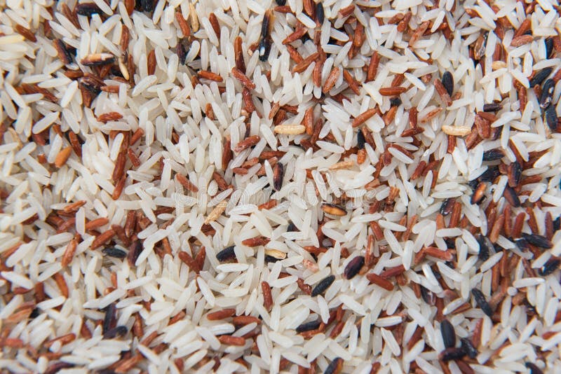 O close up misturou o arroz branco e integral, grão colorida do arroz para o fundo imagens de stock O close up misturou o arroz branco e integral, grão colorida do arroz para o fundo imagens de stock