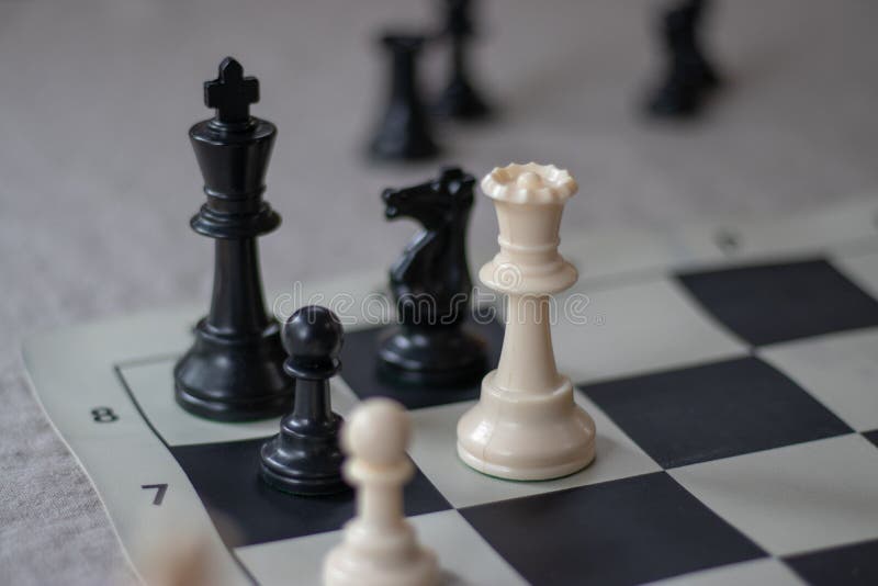 O rei, o sábio e o tabuleiro de xadrez - vídeo - Educação e