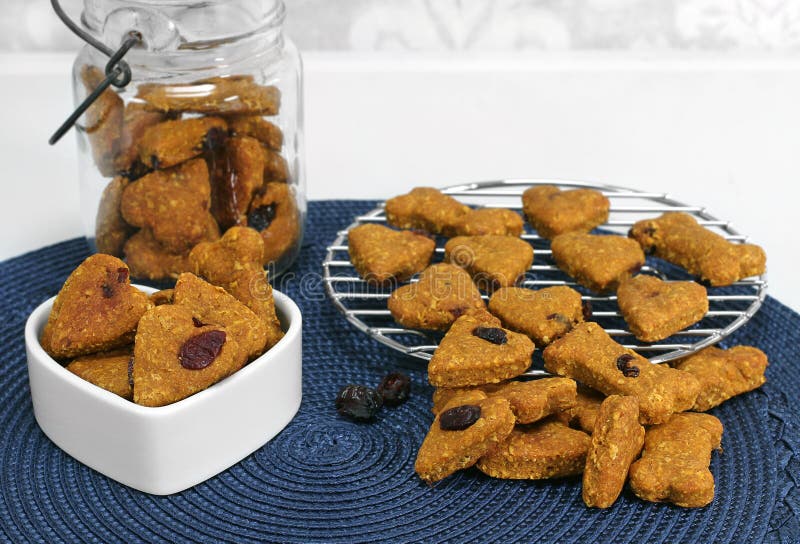 Heart and bone shaped dog biscuits which were made with pumpkin, peanut butter and cranberries.  Macro close up with copy space. Heart and bone shaped dog biscuits which were made with pumpkin, peanut butter and cranberries.  Macro close up with copy space