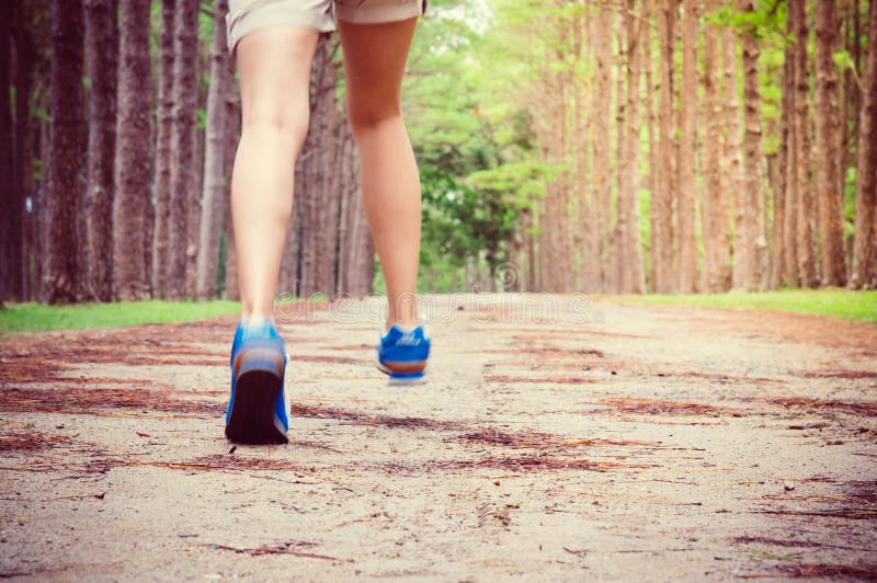 O corredor das mulheres através da fuga da floresta do pinheiro imagem de stock O corredor das mulheres através da fuga da floresta do pinheiro imagem de stock