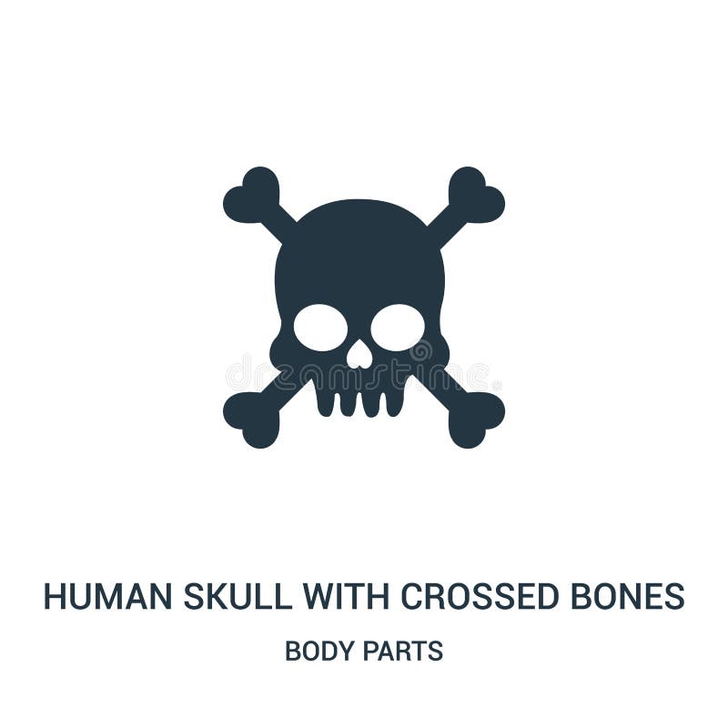 o crânio humano com ossos cruzados mostra em silhueta o vetor do ícone da coleção das partes do corpo Linha fina crânio humano co ilustração royalty free o crânio humano com ossos cruzados mostra em silhueta o vetor do ícone da coleção das partes do corpo Linha fina crânio humano co ilustração royalty free