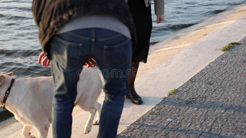 O cão corre a seus anfitriões no lago Caminhada feliz da fam?lia