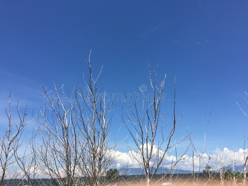 O céu é azul, meu humor é azul fotografia de stock royalty free O céu é azul, meu humor é azul fotografia de stock royalty free