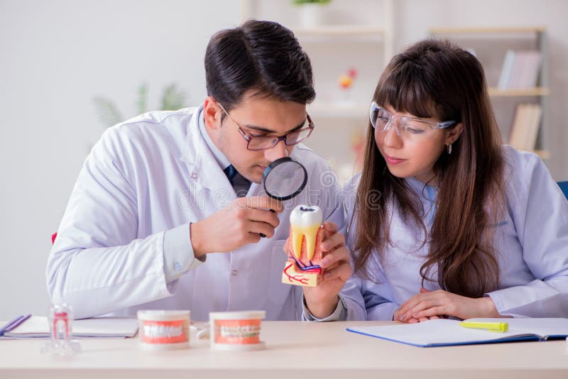O dentista que explica a estrutura do dente do estudante