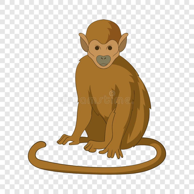 Vetores e ilustrações de Desenho macaco png para download gratuito