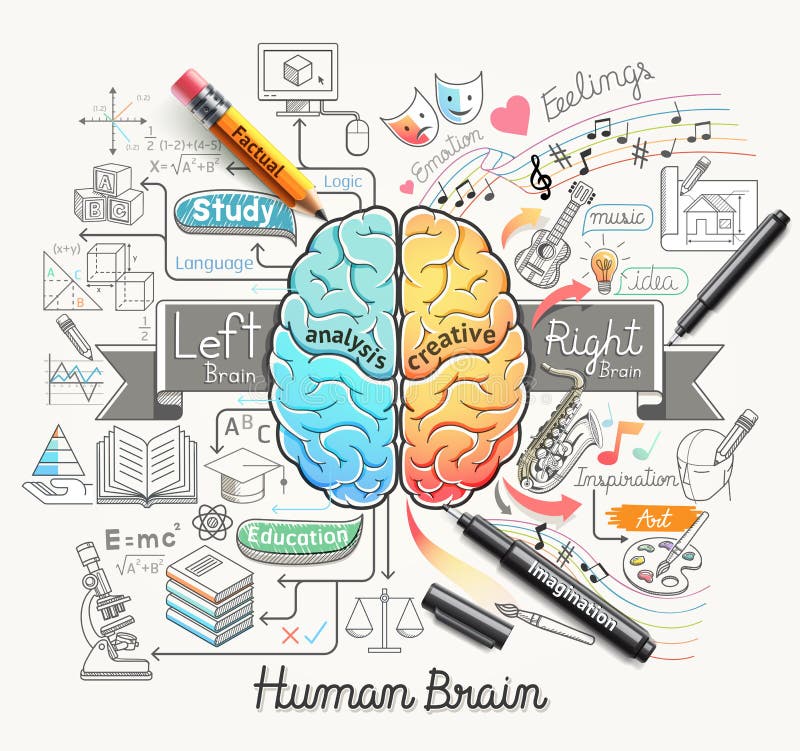 O diagrama do cérebro humano rabisca o estilo dos ícones