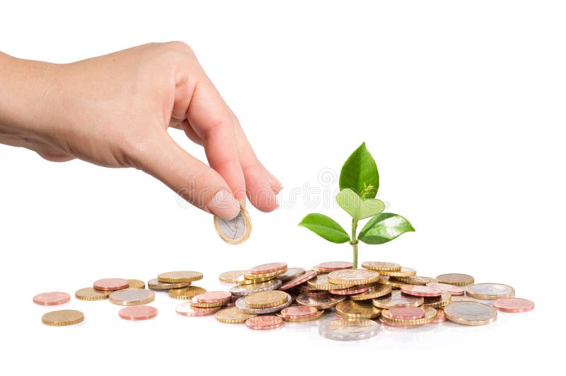 O dinheiro e a planta com mão financiam o negócio novo imagens de stock royalty free O dinheiro e a planta com mão financiam o negócio novo imagens de stock royalty free