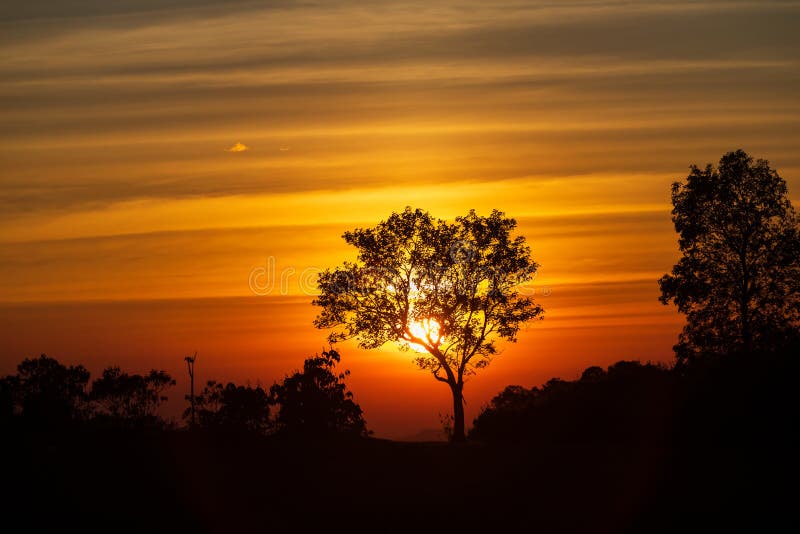 O espectro do por do sol e do fundo da silhueta em árvores imagem de stock O espectro do por do sol e do fundo da silhueta em árvores imagem de stock