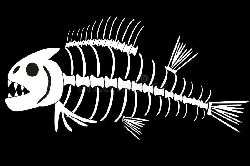 O esqueleto dos peixes no fundo branco é isolado ilustração royalty free O esqueleto dos peixes no fundo branco é isolado ilustração royalty free