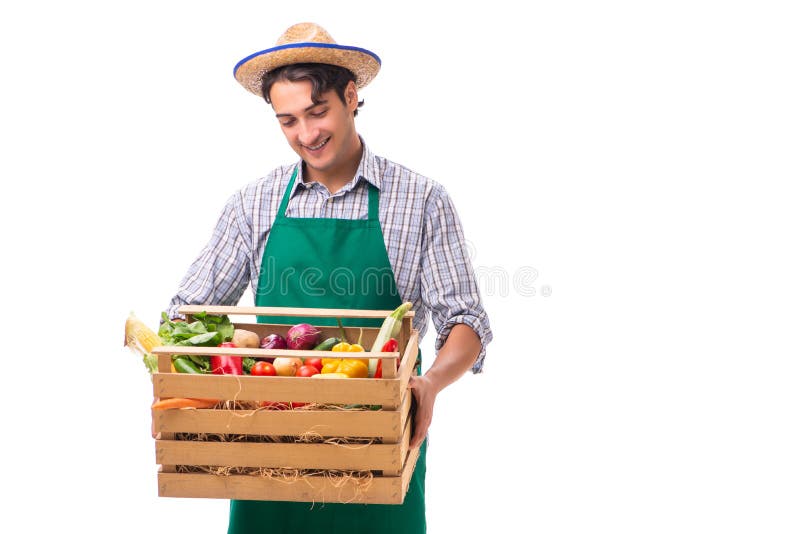 O fazendeiro novo com os produtos frescos isolados no fundo branco fotografia de stock O fazendeiro novo com os produtos frescos isolados no fundo branco fotografia de stock