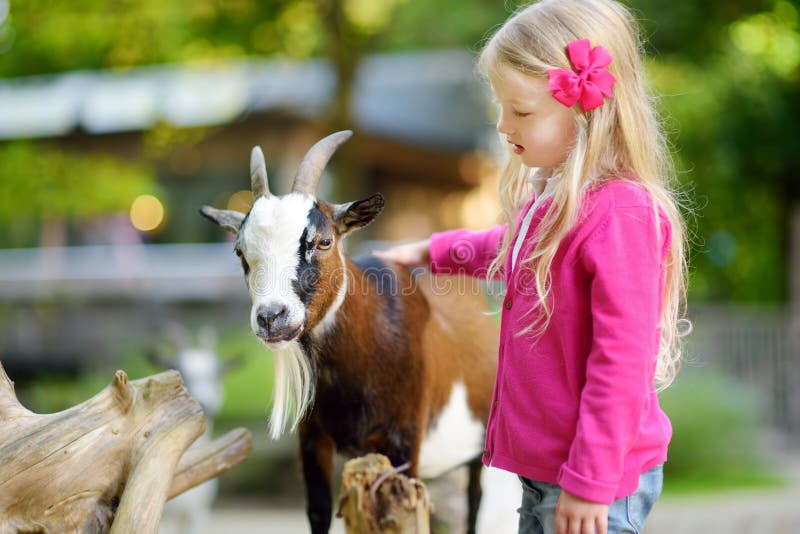 O fetiță drăguță care se hrănește și hrănește o capră la grădina zoologică.. copil care se joacă cu un animal de fermă în ziua îns royalty free stock photo