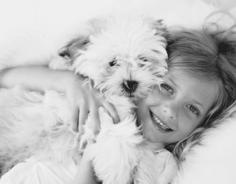 O filhote de cachorro afaga mono imagem de stock O filhote de cachorro afaga mono imagem de stock
