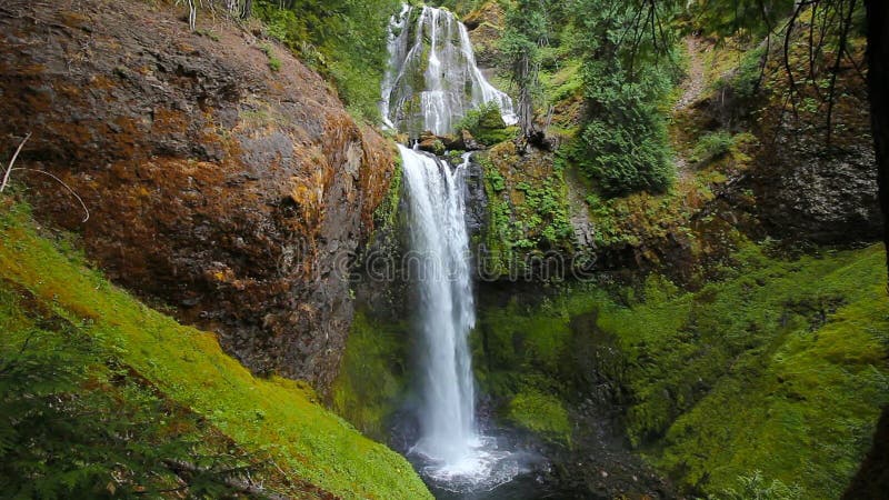 O filme alto da definição com som audio da água da angra majestosa das quedas cai em Skamania County Washington State 1080p